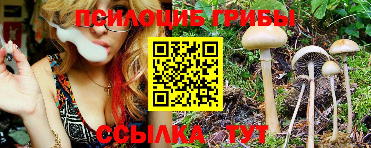 Галлюциногенные грибы мухоморы Королёв